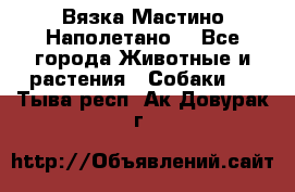 Вязка Мастино Наполетано  - Все города Животные и растения » Собаки   . Тыва респ.,Ак-Довурак г.